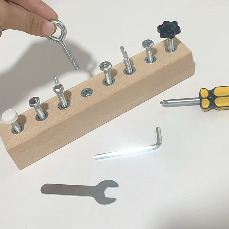 Montessori Wooden Screw & Nut Toy Fine Motor Skills & Focus Training for Kids